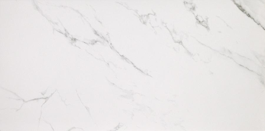 

Керамогранит Casalgrande Padana Marmoker Statuario Grigio Nat (2460017) 59х118