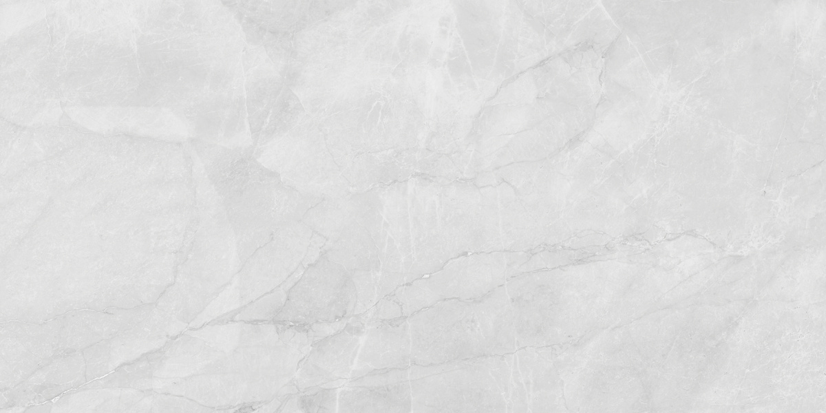 Керамогранит Laparet Berna Silver светло-серый LP6012G0231R 59,5х119,1 матовый