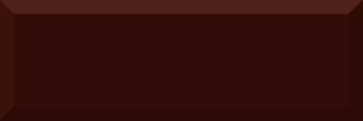 

Керамическая плитка Absolut Keramika Biselado Brillo Marron настенная 10x30