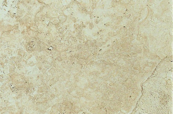 

Керамогранит Edimax Instone Bone Nat 30x45,3