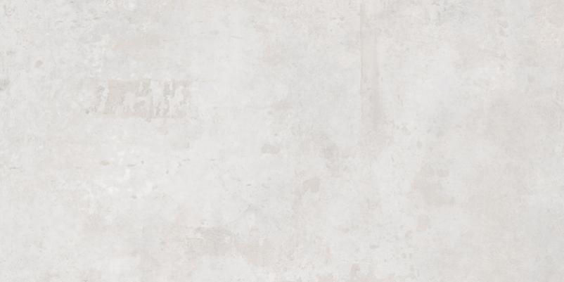 

Керамогранит Ceracasa Titan Silver 49,1x98,2