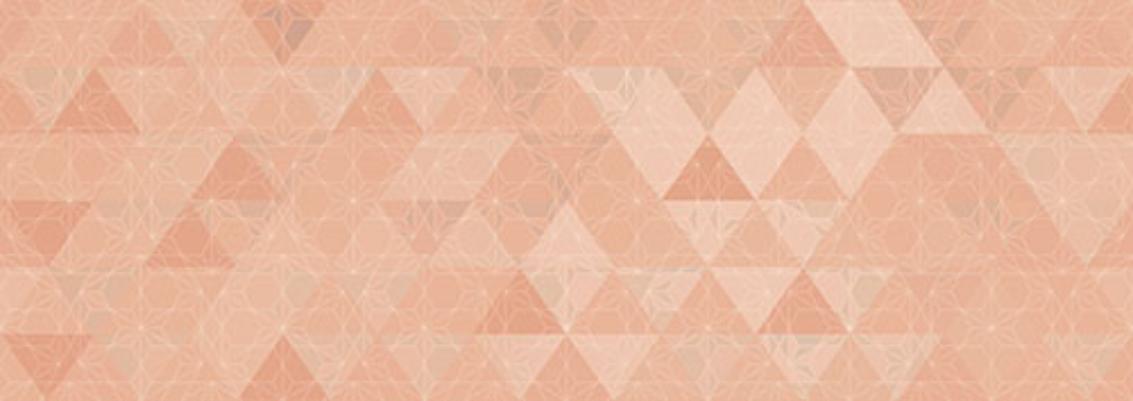 

Керамическая плитка Керлайф Primavera Coral настенная 25x70,9
