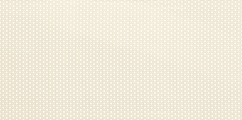 

Керамическая плитка Paradyz Grace Bianco Inserto A декор 29,5x59,5