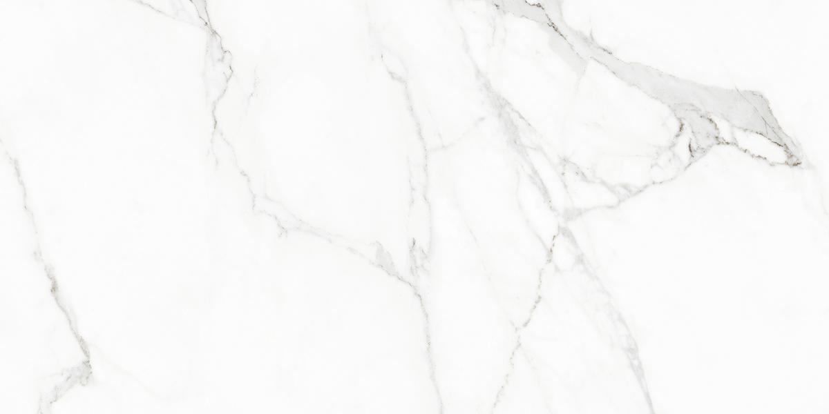 

Керамогранит Naxos Rhapsody 117432 White Beauty Lev+Rett 60x120