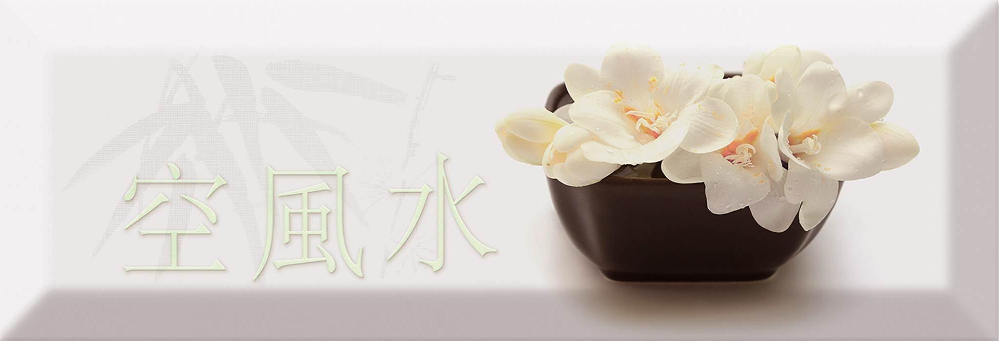 

Керамическая плитка Absolut Keramika Decor Japan Tea 04 A декор 10x30