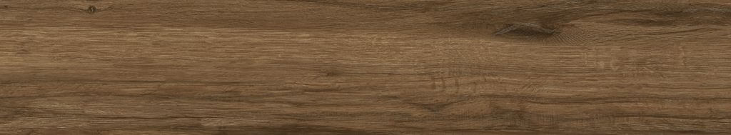 

Керамогранит Fanal Ceylan Roble Pulido 22x118