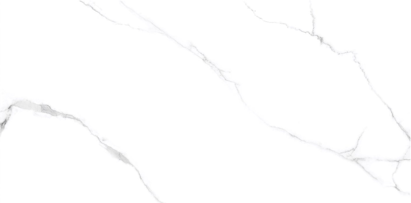 

Керамогранит Laparet Atlantic White белый 60x120 полированный