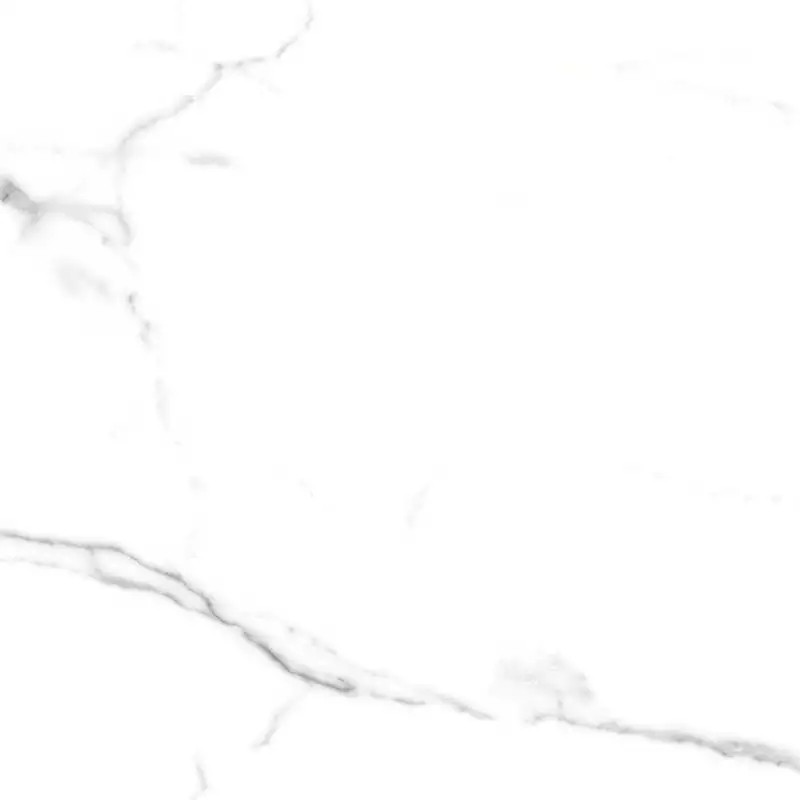 Керамогранит Primavera PR107 Salvatore Polished 60x60
