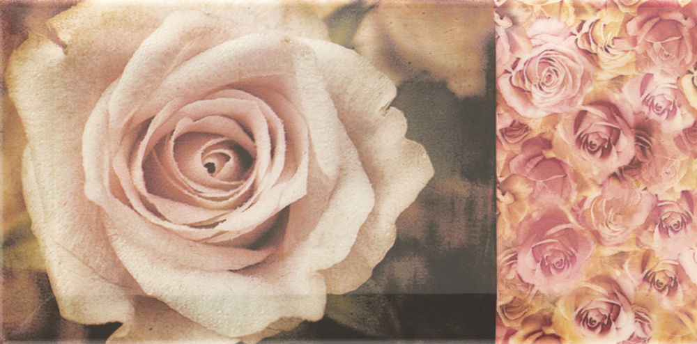 

Керамическая плитка Mainzu Arkadia Decor Flower Декор 10х20