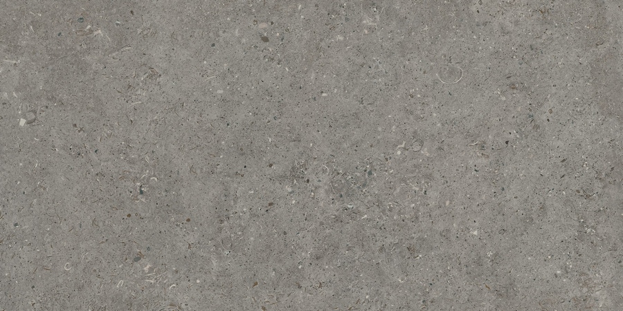 Керамогранит Living Ceramics Bera&Beren Dark Grey 60x120