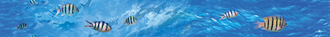 

Керамическая плитка Ceramica Classic Ocean Deep Бордюр B400D302 40х4,5