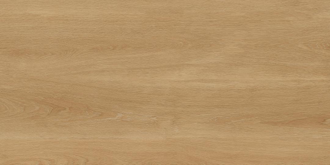 Керамогранит Protiles Albero Beige 60х120