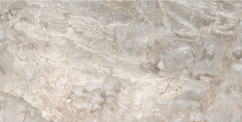 

Керамогранит Casati Ceramica Brecia Silver 60x120