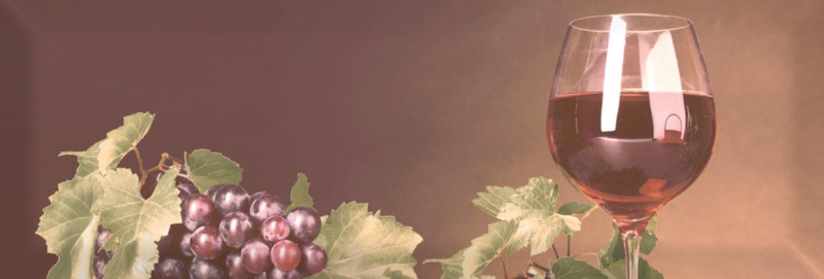 

Керамическая плитка Absolut Keramika Decor Wine 01 A Декор 10x30