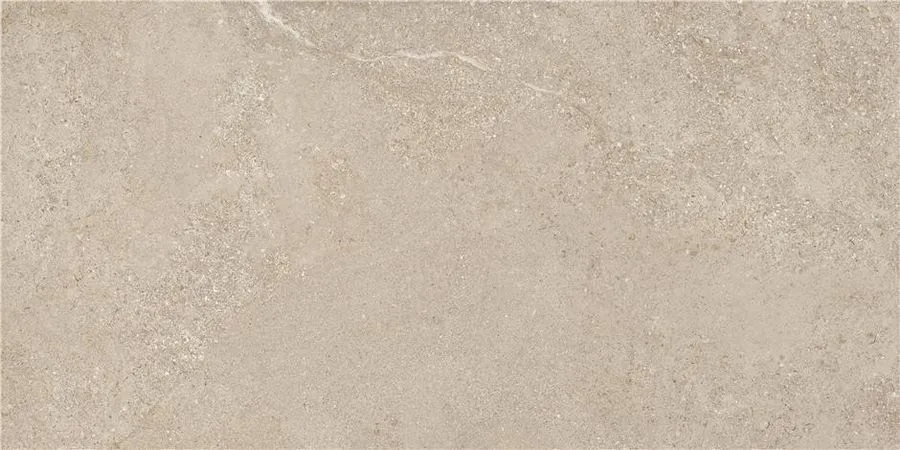Керамогранит STN Ceramica Arenite Natural Matt. 60x120