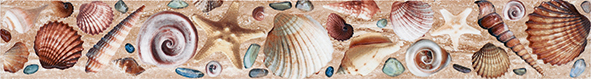 

Керамическая плитка Alma Ceramica Ривьера БД53РВ004 Бордюр 50x6,7