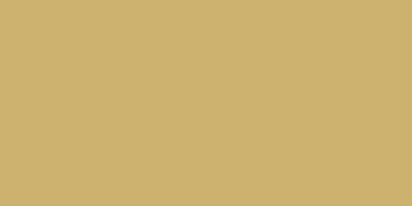 

Керамическая плитка Marca Corona Bold E968 Mustard Rett настенная 40х80