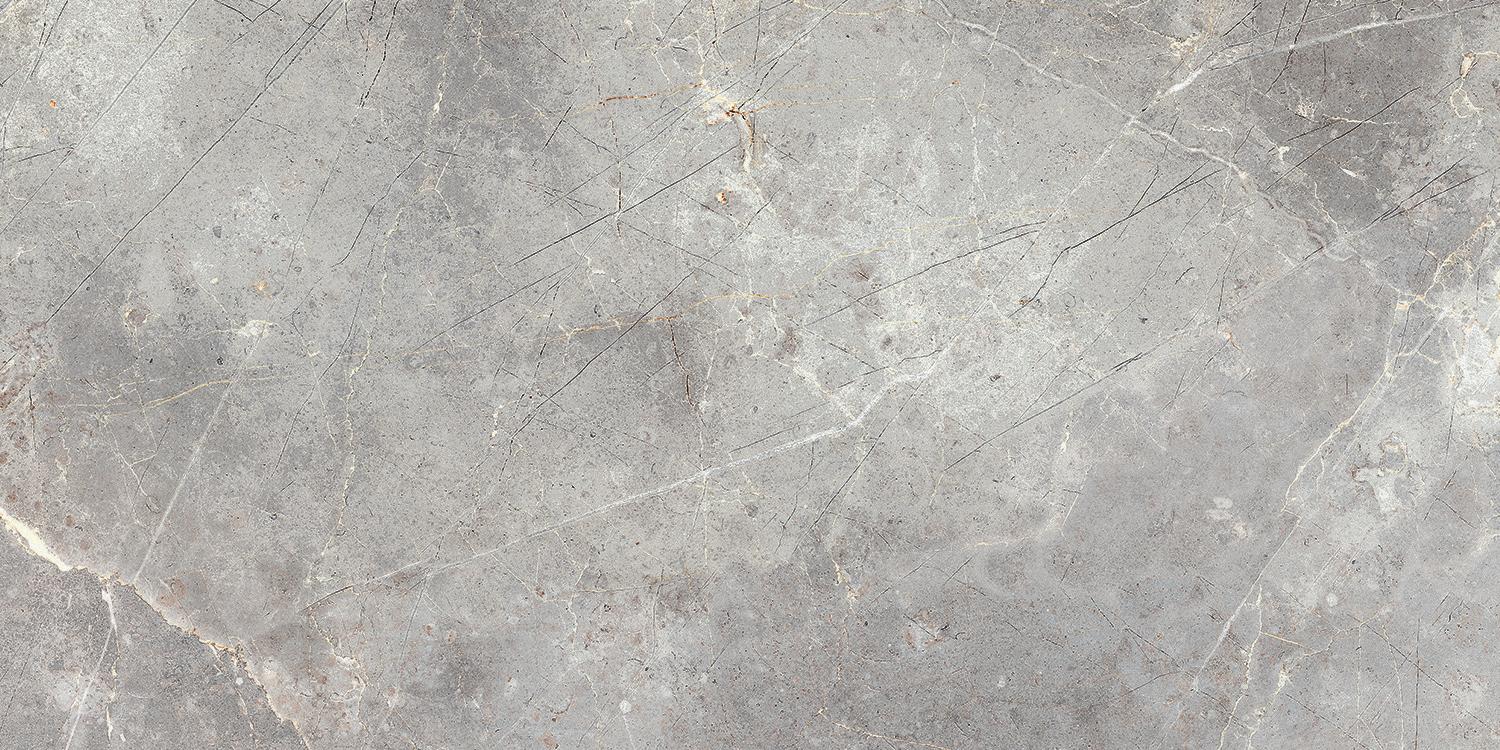 

Керамогранит Италон Charme Evo Imperiale Nat Ret (610010001413) 60х120