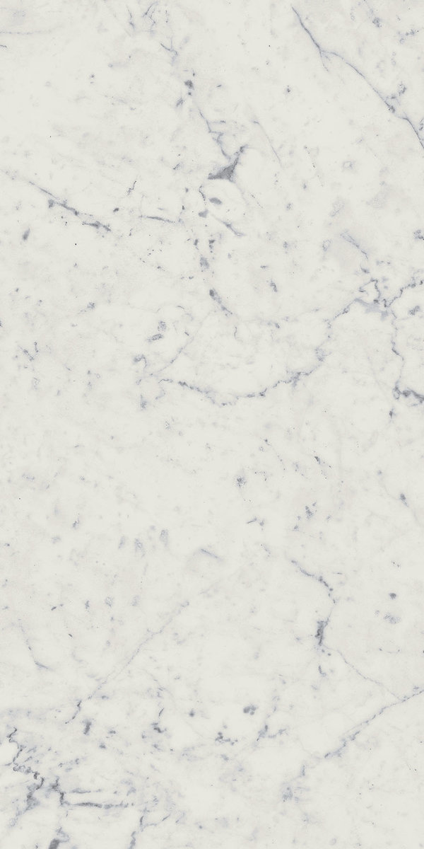 

Керамогранит Италон Charme Extra 610010001194 Carrara Ret 60х120