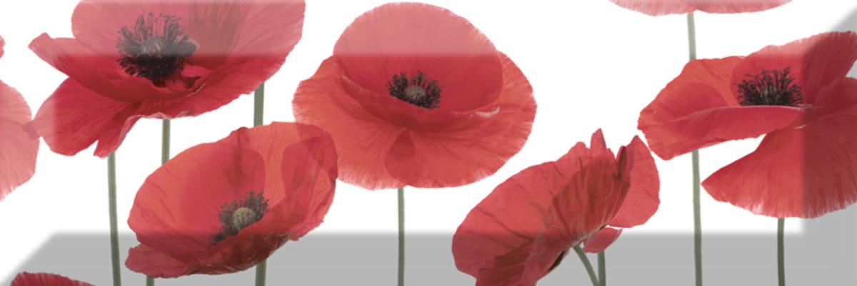 

Керамическая плитка Absolut Keramika Decor Poppy 04 декор 10x30
