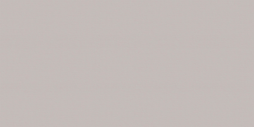 

Керамическая плитка AltaСera Megapolis Gray WT9MEG15 настенная 24,9x50