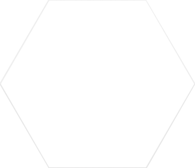 

Керамогранит Codicer Basic Hex White 25х22