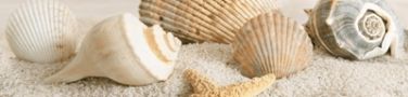 

Керамическая плитка Golden Tile Саммер Стоун Бежевый бордюр 6x25