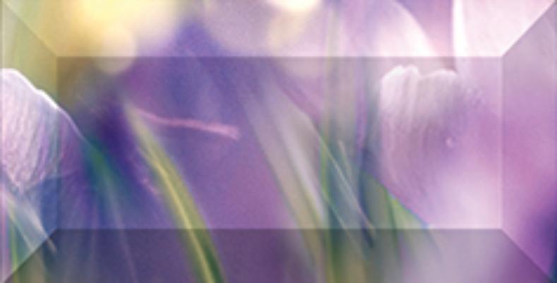 

Керамическая плитка Ceramica Classic Crocus Бордюр рельефный br1020D286-2 20х10