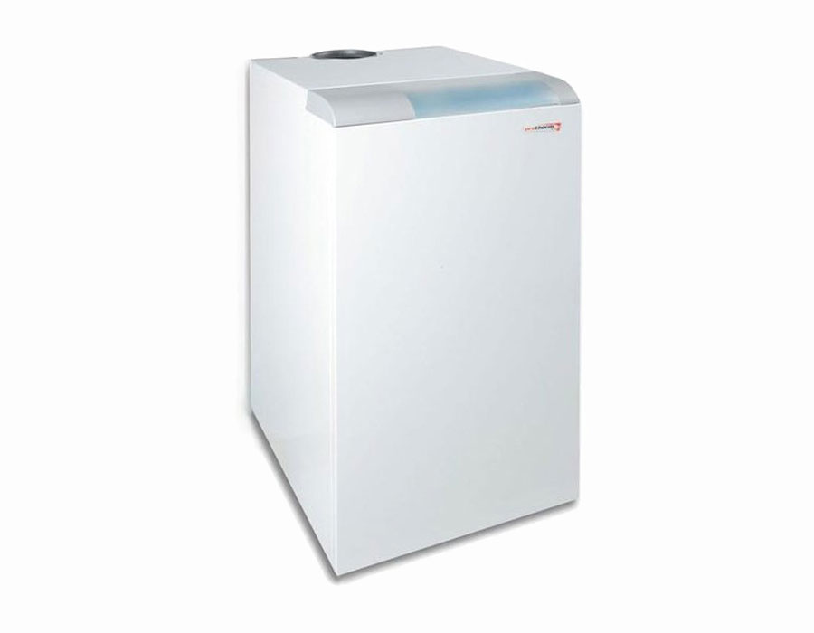 

Напольный газовый котел Protherm PLO 20 Медведь