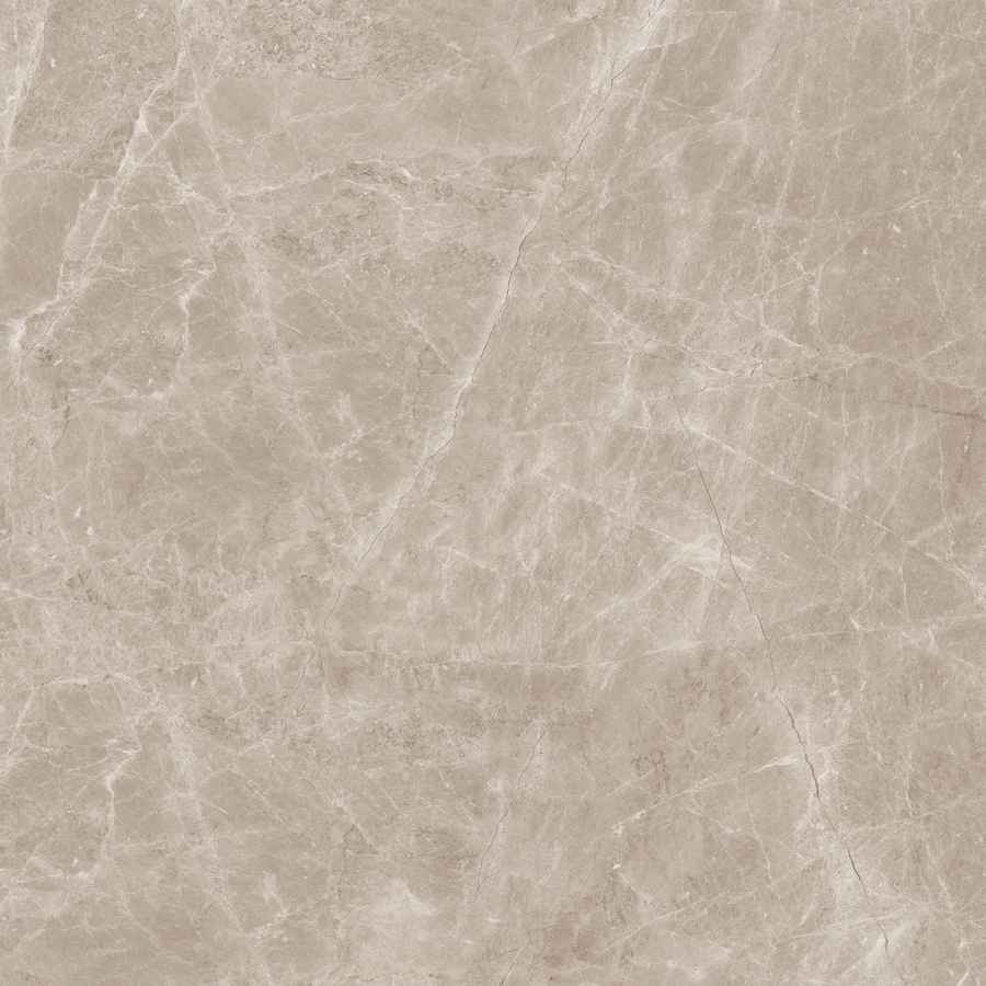 Керамогранит Neodom Marblestone N20462 Frappuccino Taupe 120x120