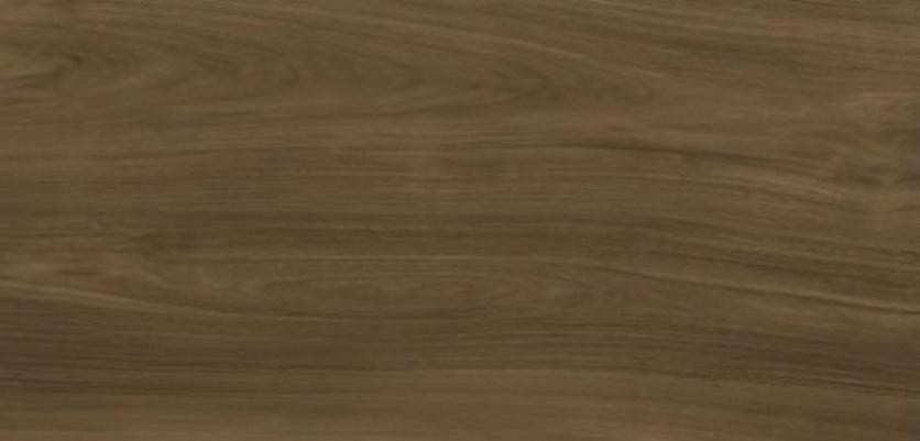 

Керамогранит Xlight Ewood C229801571 Honey Nature 120x250