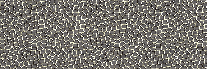 

Керамическая плитка Alma Ceramica Альта Декор ВС11АА404 20х60