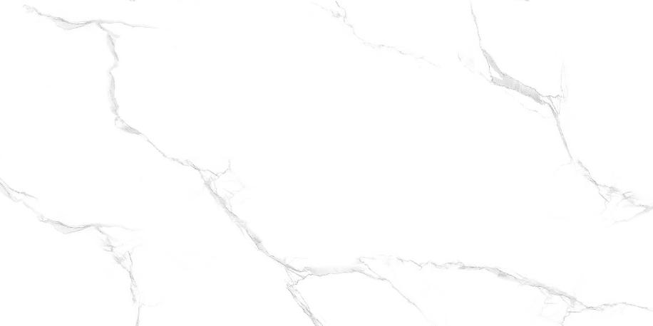 Керамогранит Maimoon Ceramica Glossy Silver Statuario 60x120
