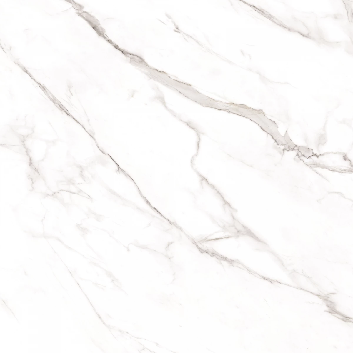 Керамогранит Maimoon Ceramica Statuario Alaska 80x80