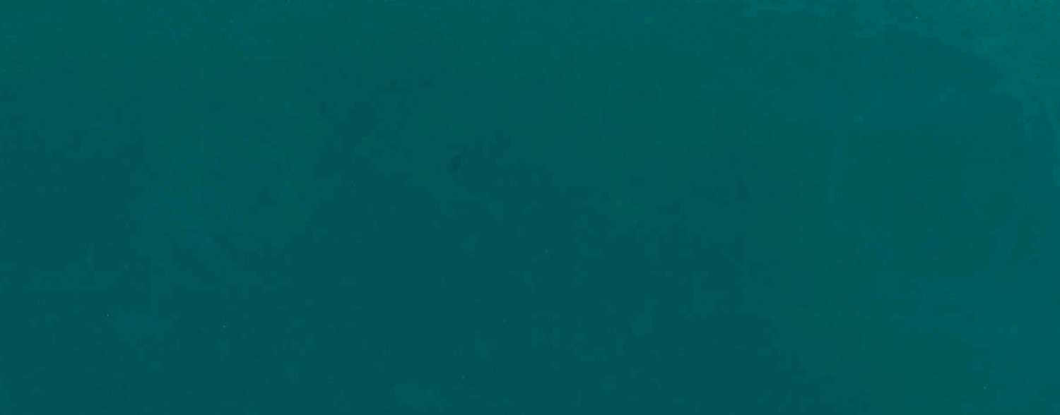 

Керамическая плитка Naxos Hub 117575 Emerald Rett настенная 31,2x79,7