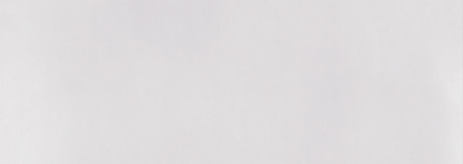 

Керамическая плитка Delacora Baffin Gray Light WT15BFN15 настенная 25x75