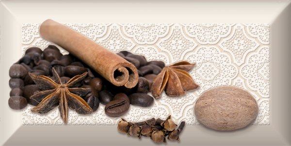 

Керамическая плитка Absolut Keramika Monocolor Decor Spices 04 Е Декор 10x20