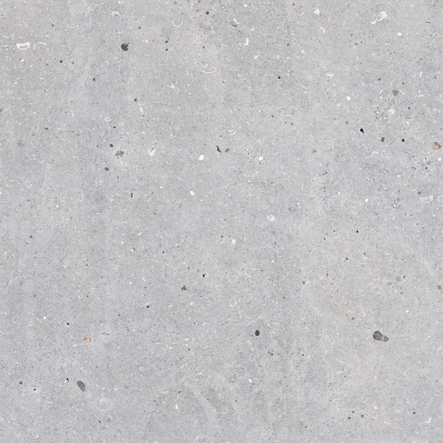 Керамогранит Codicer Messel Silver 66x66