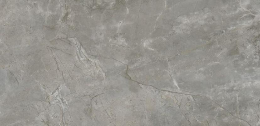 

Керамогранит Xlight Bosco C229801941 Grey Silk 120x250