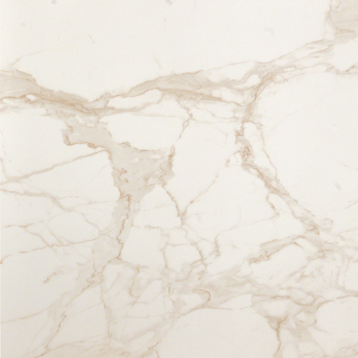 

Керамогранит Fap Roma Diamond Calacatta Brillante (FNER) 60x60