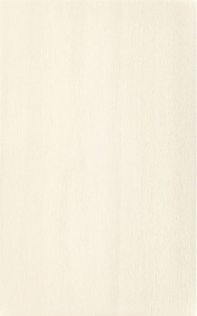 

Керамическая плитка Grupa Paradyz Tembre beige настенная 25x40
