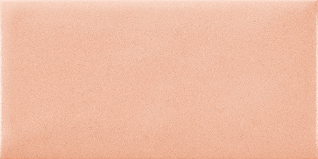 

Керамическая плитка Rocersa Nordic Coral Настенная 12,5x25