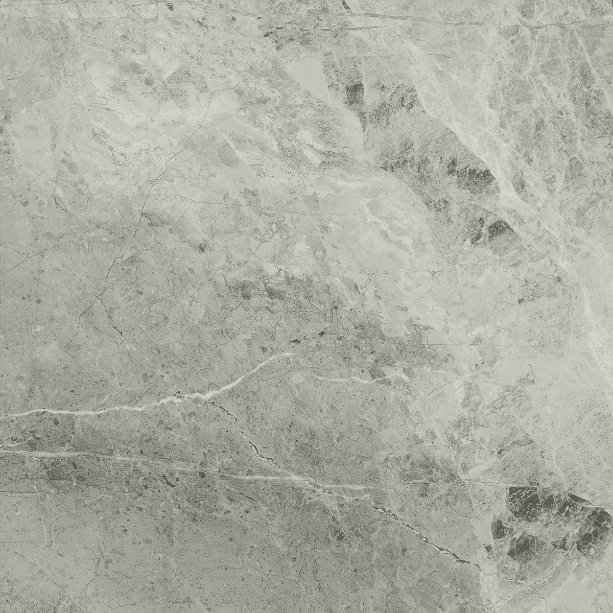 

Керамогранит Италон Charme Extra 610010001190 Silver Ret 60х60