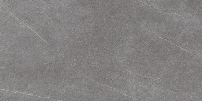 

Керамогранит Kerama Marazzi Роверелла пепельный обрезной DL590500R 238,5х119,5