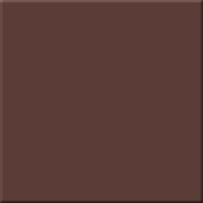 

Керамогранит Эстима Rainbow RW04 60x60 шоколадный неполир.