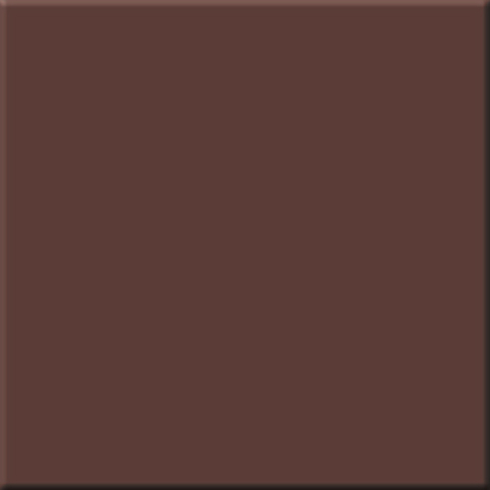 Керамогранит Эстима Rainbow RW04 60x60 шоколадный неполир.