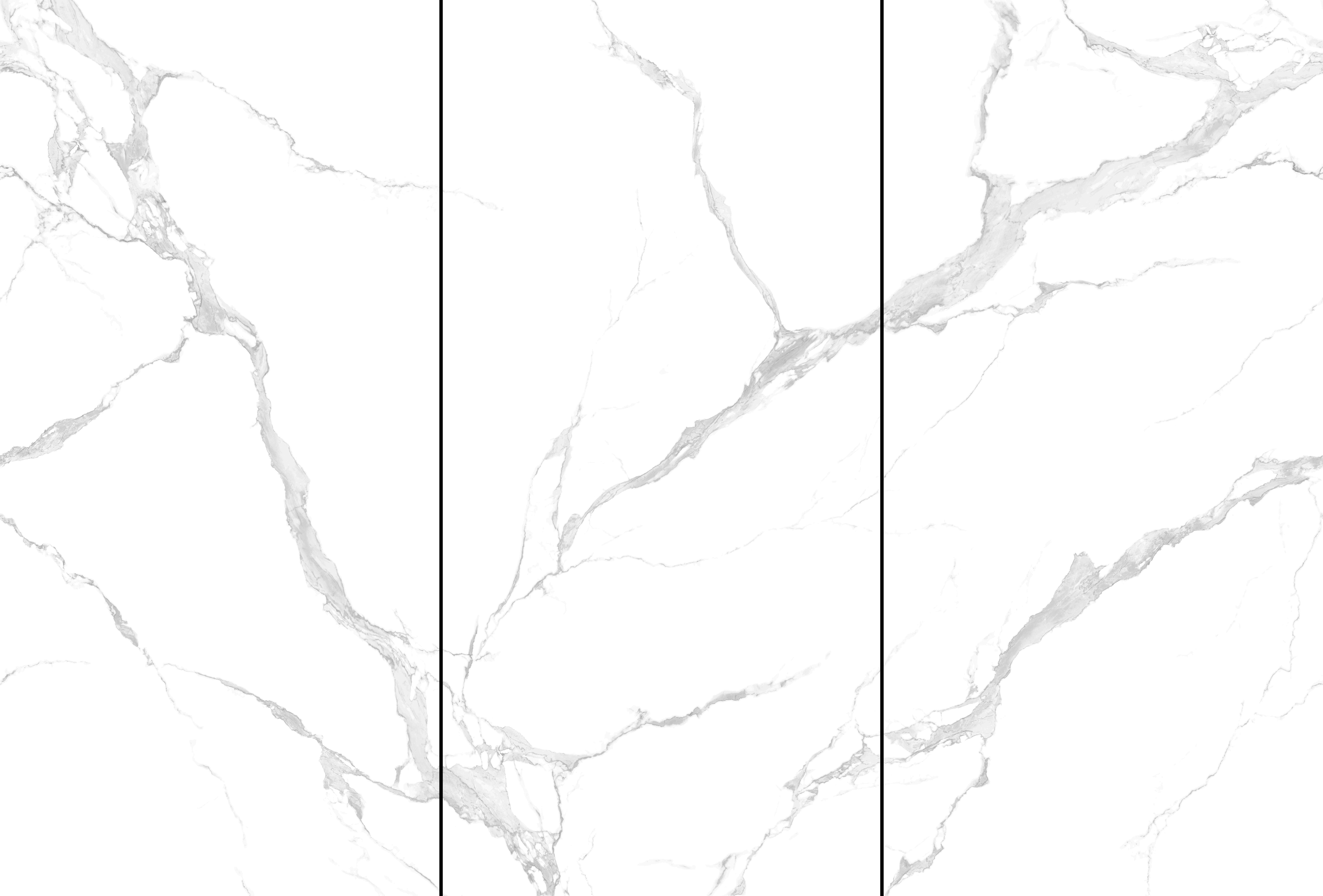 Керамогранит NT Ceramic Atlas Wide NTT3004P Bianco Carrara 120x240