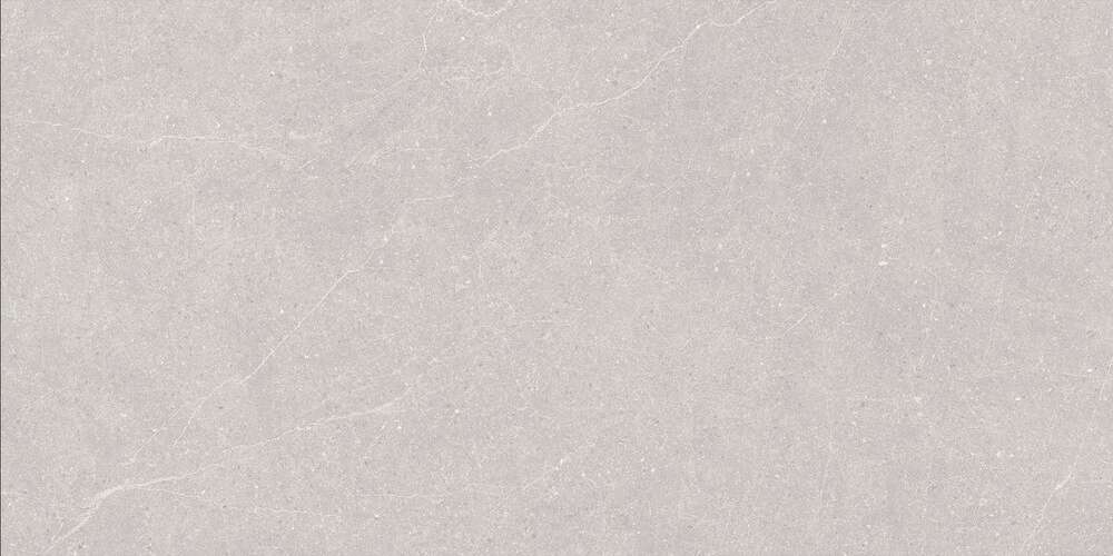 Керамогранит Duna Elenta Ash Carving 60x120