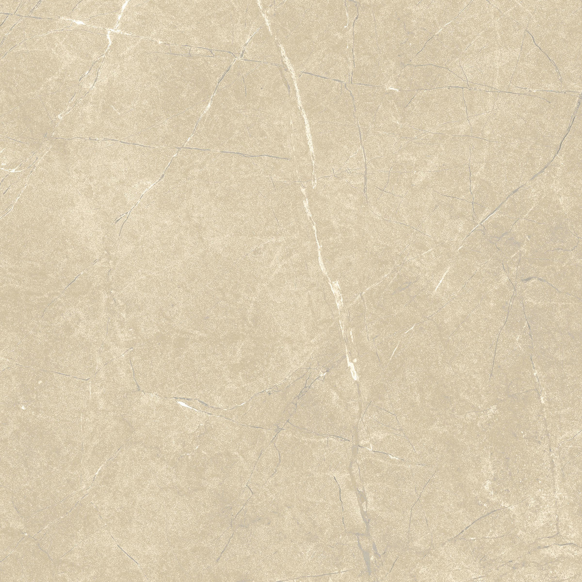 

Керамогранит Италон Charme Extra 610015000363 Arcadia Lux 59х59