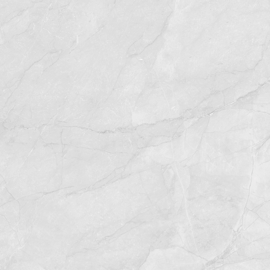 Керамогранит Laparet Berna Silver светло-серый LP6060G0241R 59,5х59,5 матовый